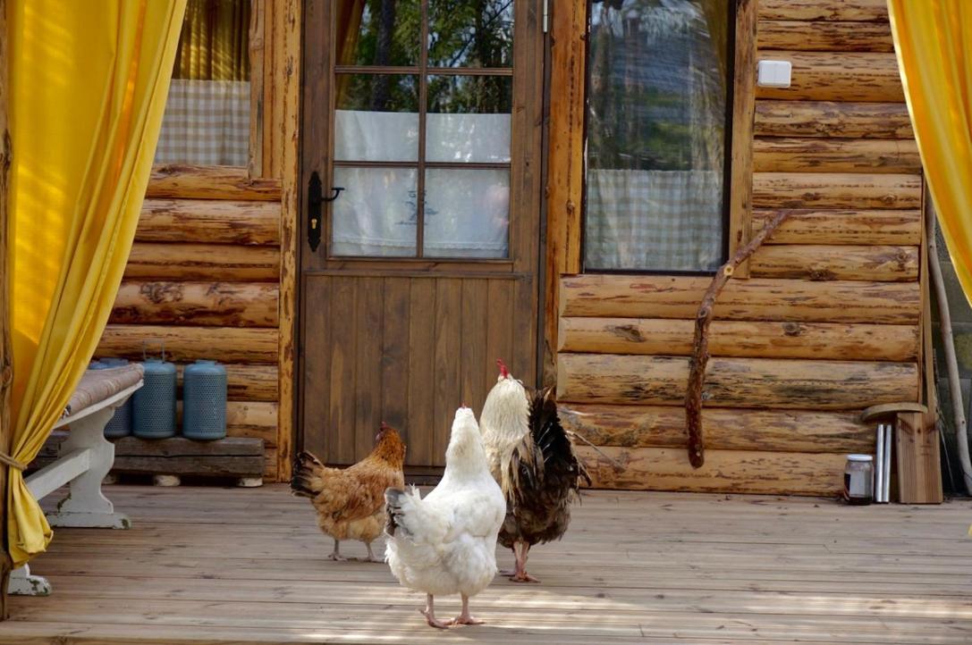 B&B Elaemys Aemmi Sauvo Dış mekan fotoğraf