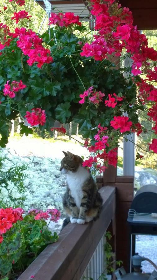 B&B Elaemys Aemmi Sauvo Dış mekan fotoğraf
