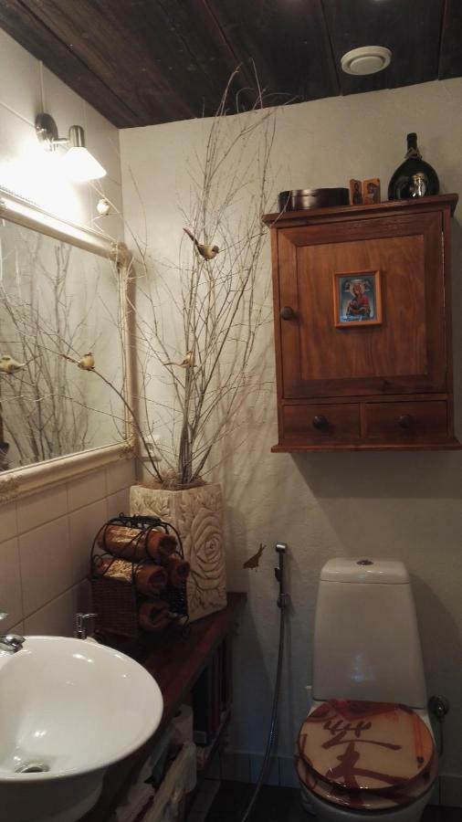 B&B Elaemys Aemmi Sauvo Dış mekan fotoğraf