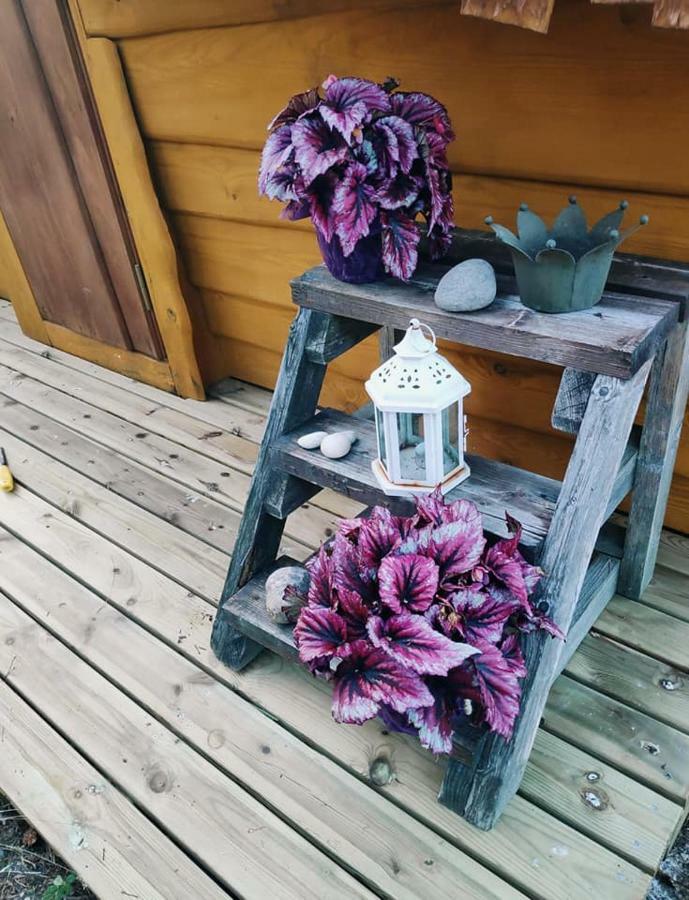 B&B Elaemys Aemmi Sauvo Dış mekan fotoğraf