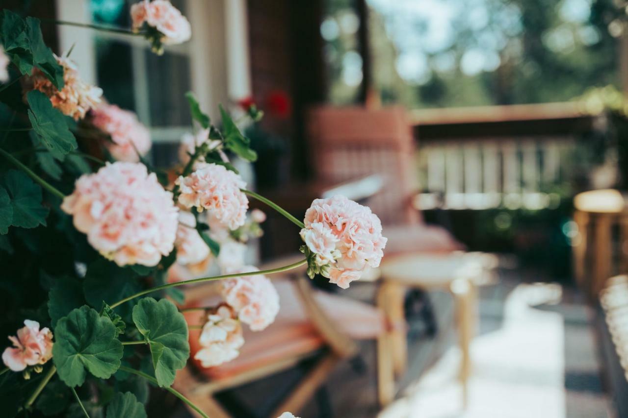 B&B Elaemys Aemmi Sauvo Dış mekan fotoğraf